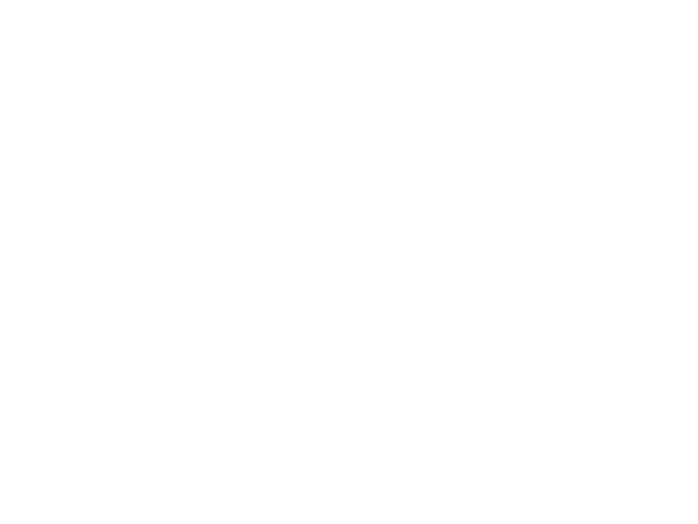 Ribonacci